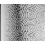 Papier toaletowy MERIDA TOP, BIAŁY, średnica 19 cm, długość 120 m, dwuwarstwowy, zgrzewka 12 szt.