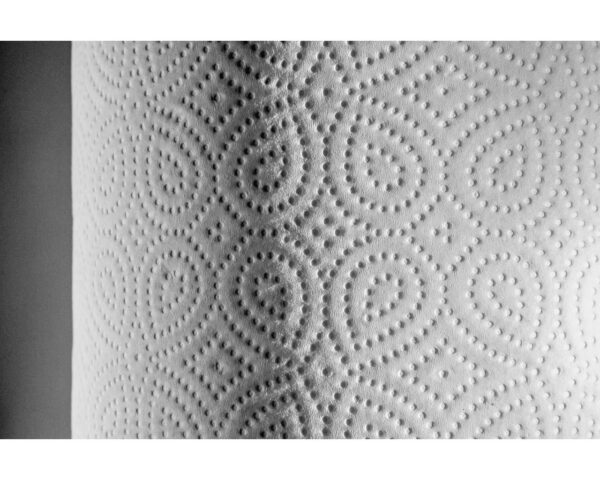 Papier toaletowy MERIDA TOP, BIAŁY, średnica 19 cm, długość 120 m, dwuwarstwowy, zgrzewka 12 szt. Papier toaletowy MERIDA TOP, BIAŁY, średnica 19 cm, długość 120 m, dwuwarstwowy, zgrzewka 12 szt.