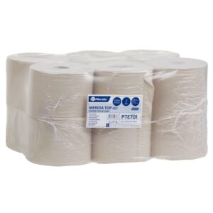 Papier toaletowy TOP EKO 900, opakowanie 12 szt.śr. 18,1 cm, dł. 180 m, 2-w., piaskowy