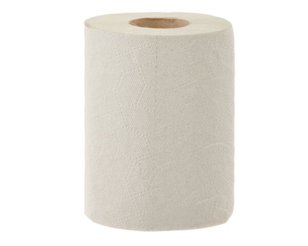 Ręczniki papierowe w roli MERIDA ECONOMY MINI, szare, jednowarstwowy, długość 65 m, opakowanie 12 rolek Ręczniki papierowe w roli MERIDA ECONOMY MINI, szare, jednowarstwowy, długość 65 m, opakowanie 12 rolek